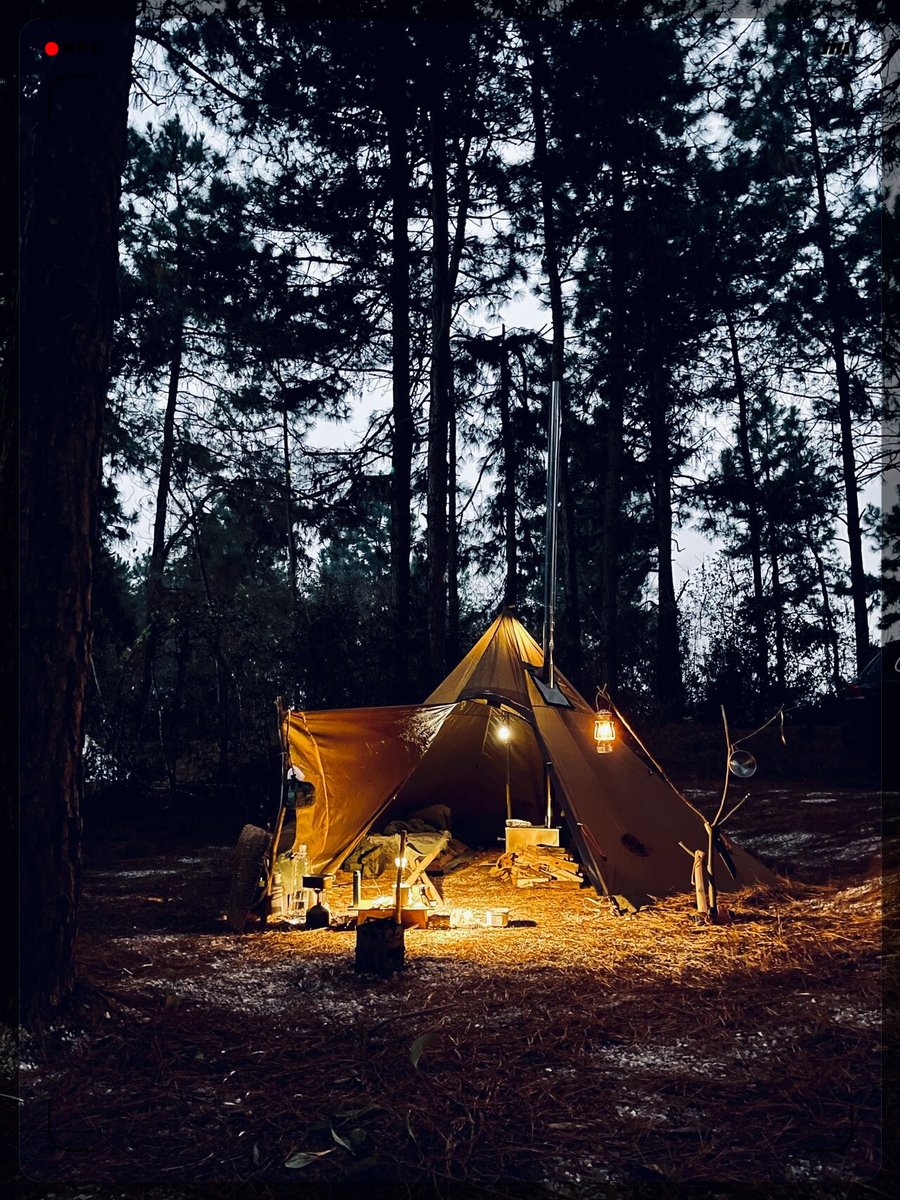 Lisa Gasperi tweet media