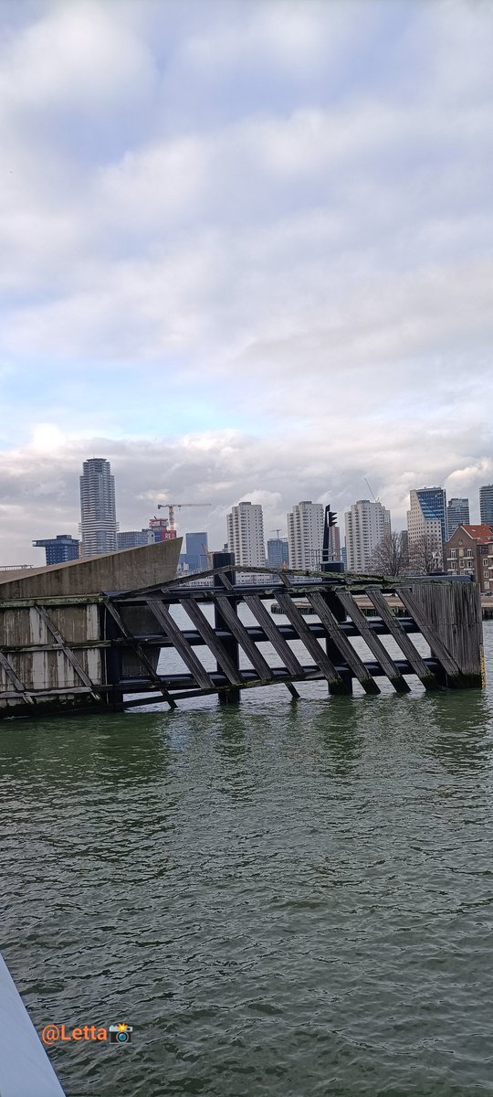 Letta_vi64's tweet image. in the City ... 🚲🌞 #bridge #brug 😉

📸.