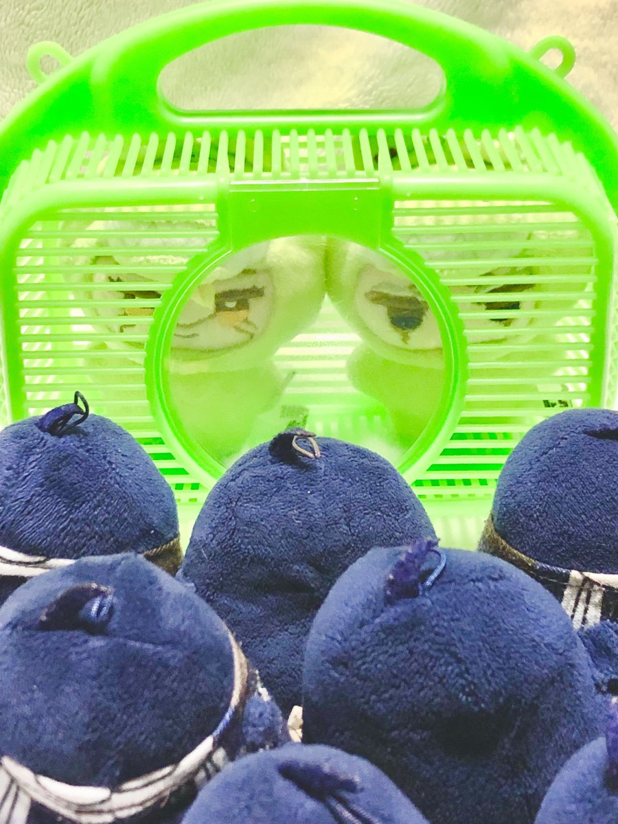 タケルちゅん tweet media