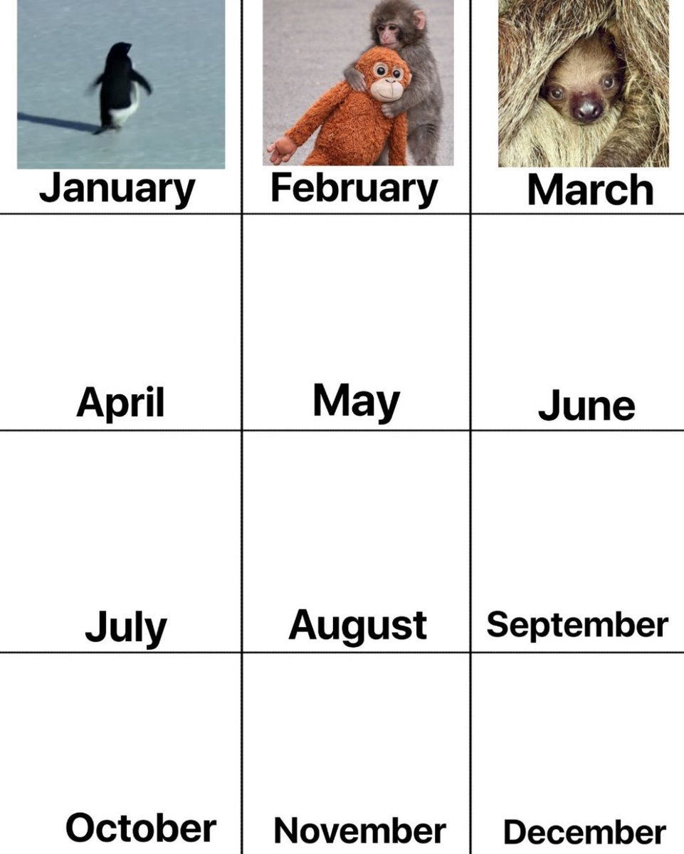 𓍯𓂃𓂃 tweet media