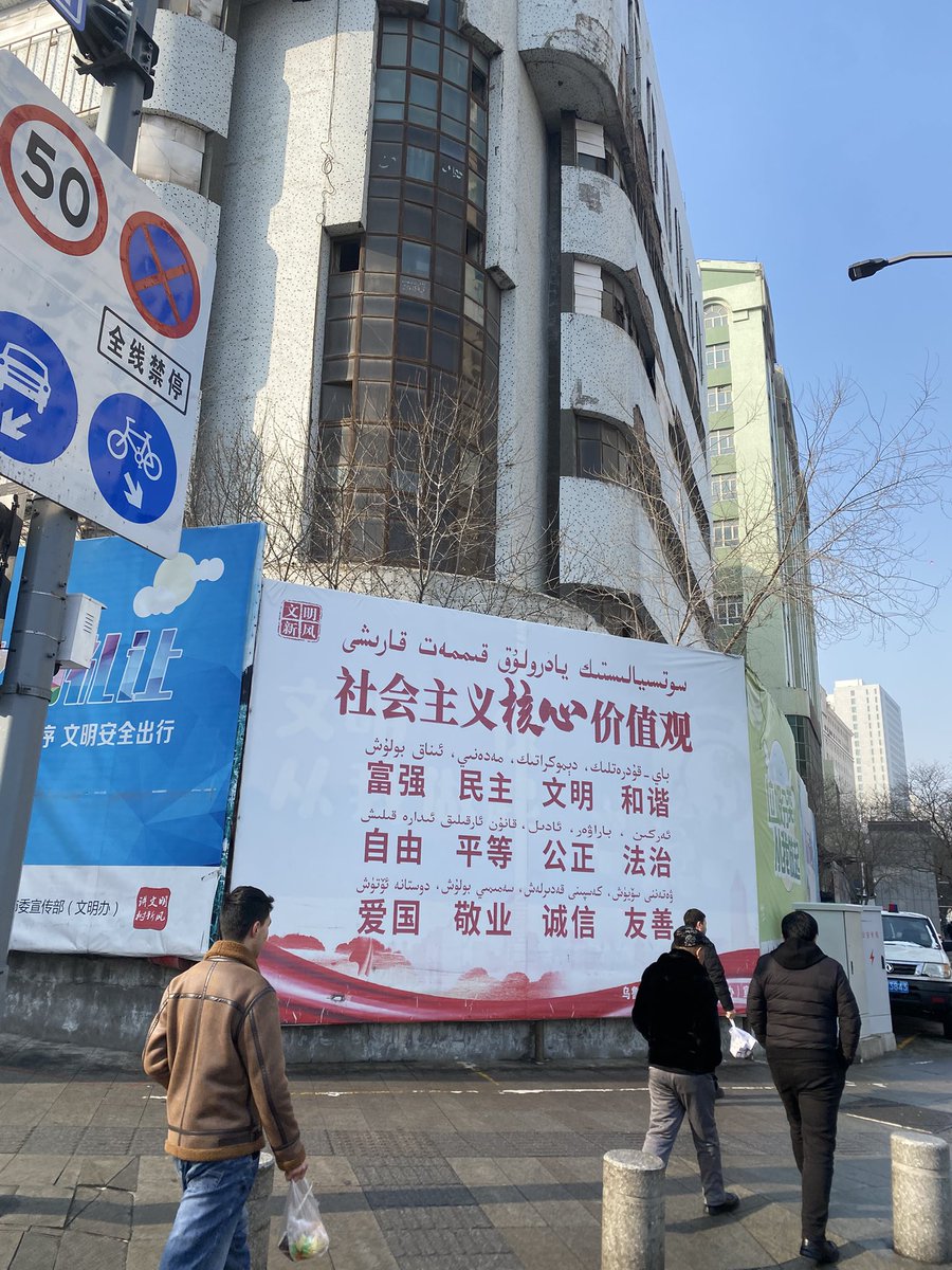 誰か雇ってください tweet media