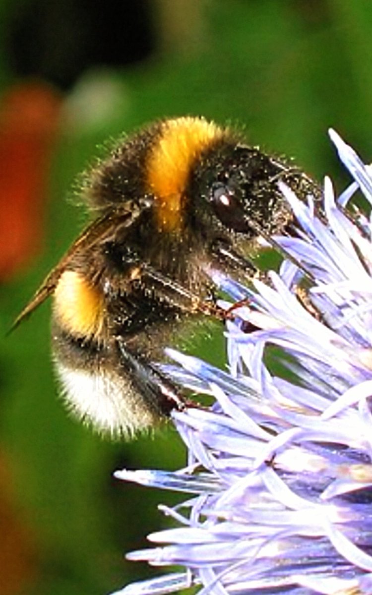 Tess Quadra🔨NO DM🔨 LXXIII tweet media