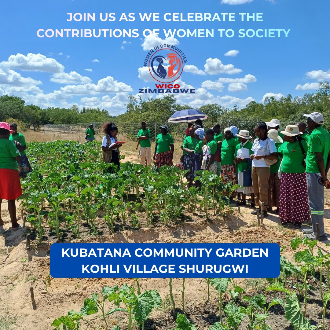 WICO Zimbabwe tweet media