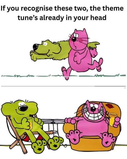 FlyFifer tweet media