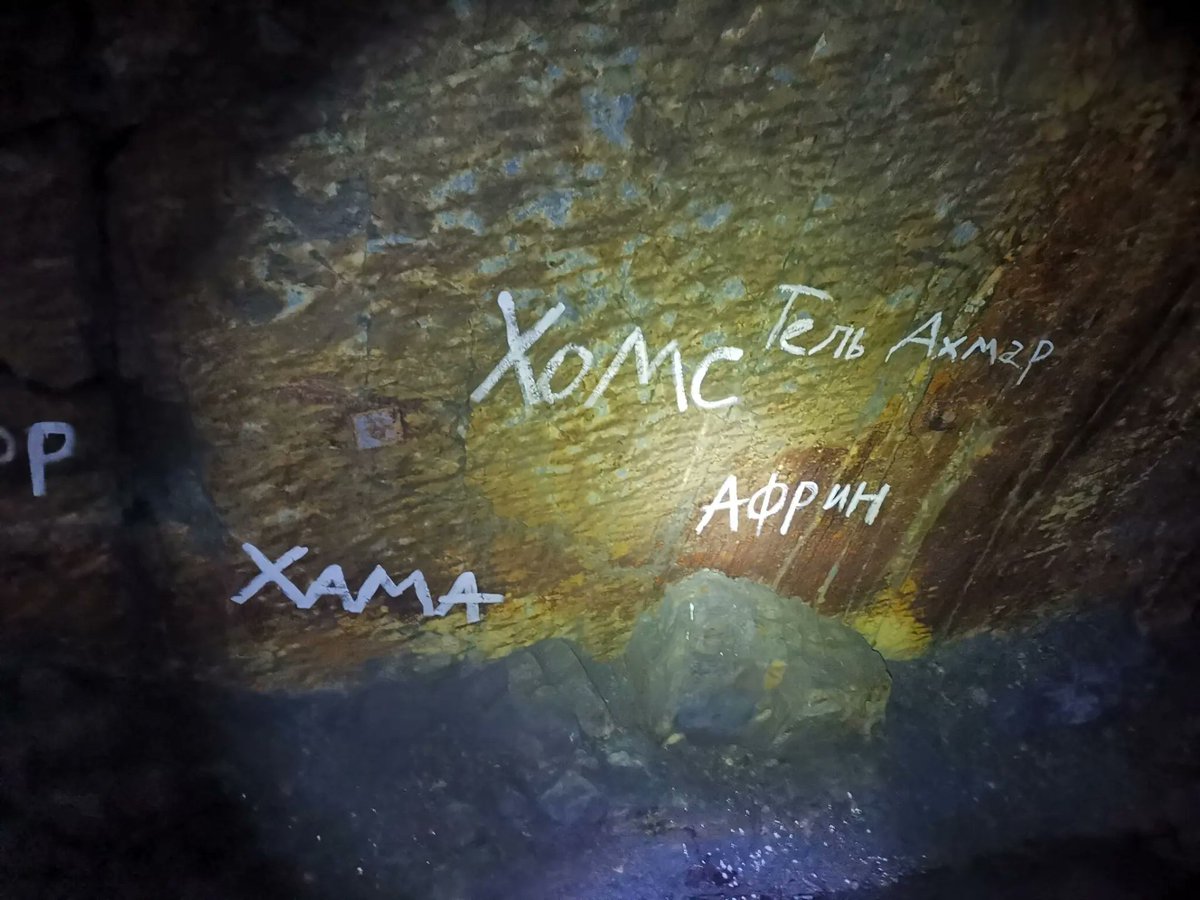 Mark Krutov tweet media