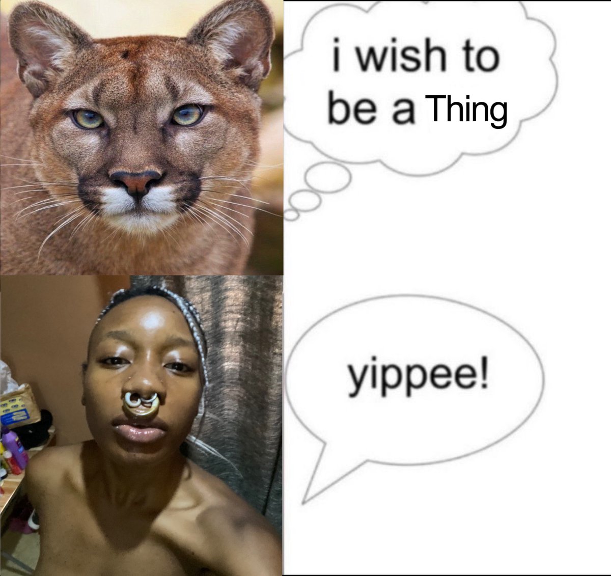 Eli Your Saviour tweet media