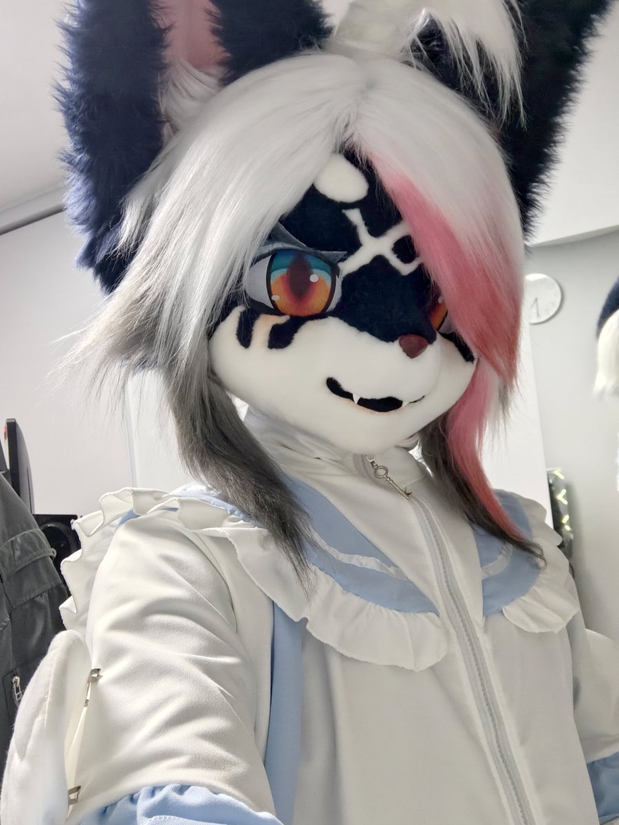 벨록스 tweet media