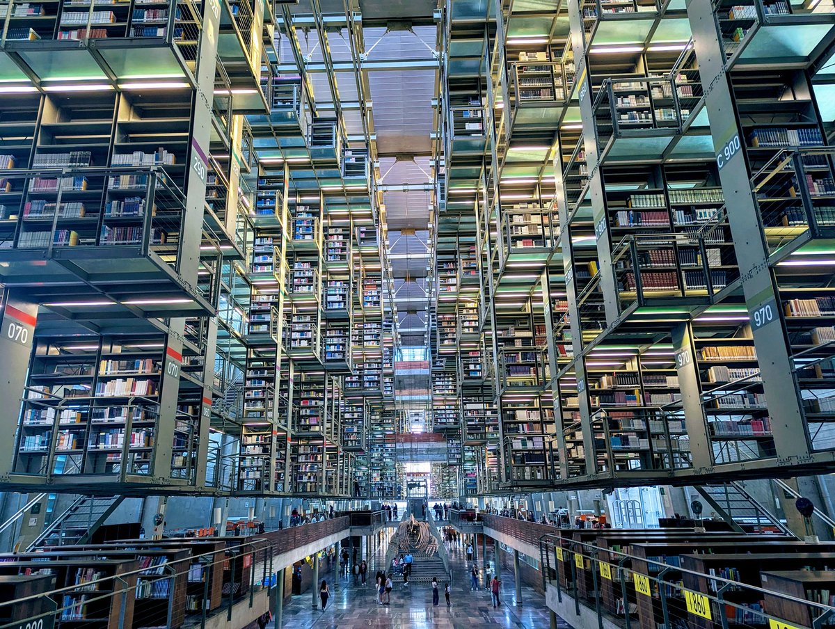 旅丸sho🎒旅する経営者 tweet media