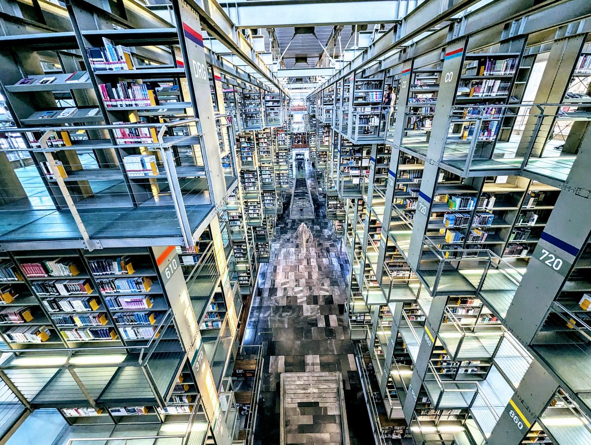 旅丸sho🎒旅する経営者 tweet media