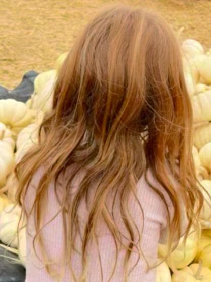 Milano Returns tweet media