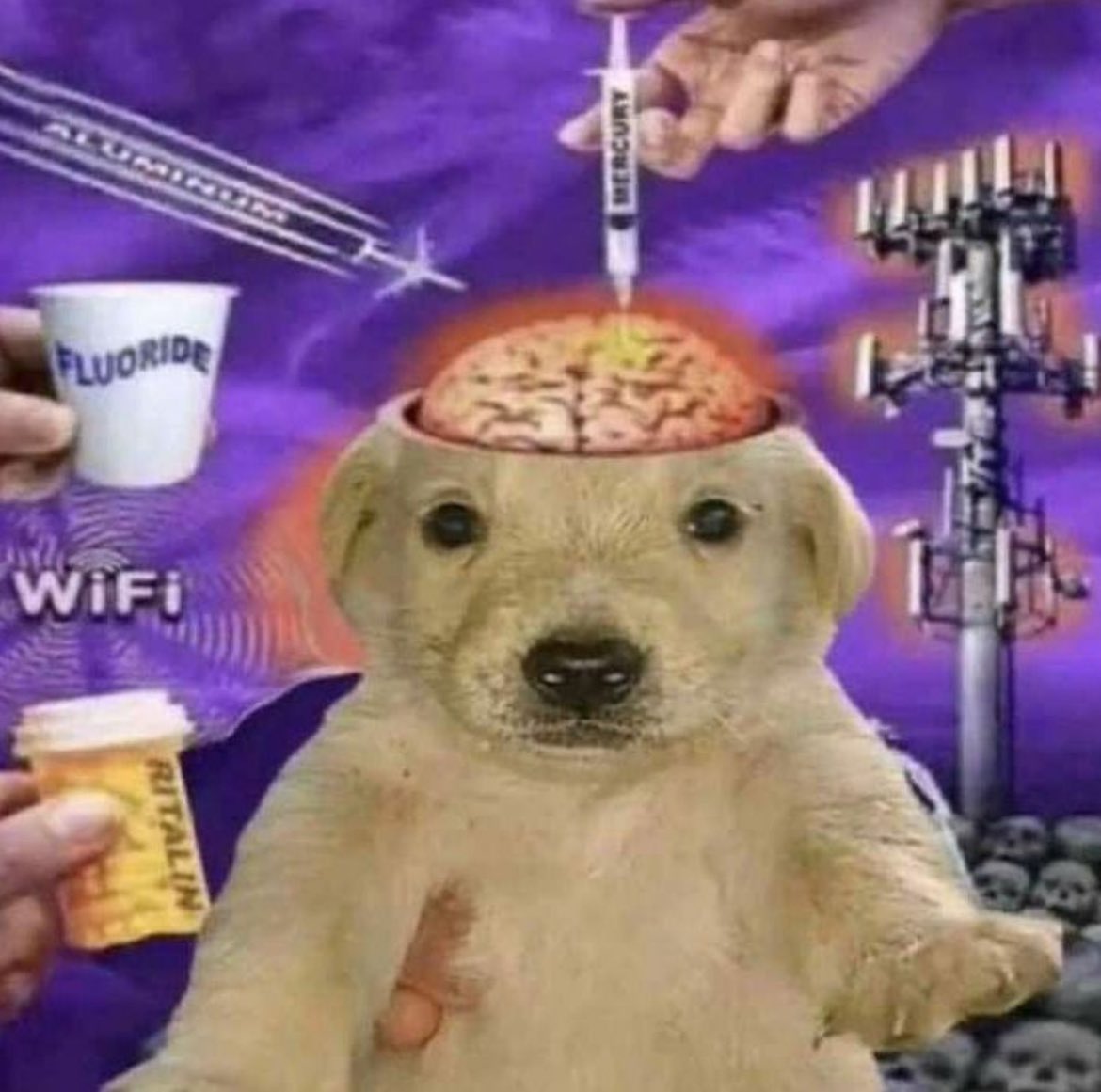 Queria estar ligado a uma máquina que pudesse me desligar toda noite em um determinado horário, não é possível aguém com uma rotina de sono pior que a minha. Deitei era 23:30 e acordei a 01:00 com pico de energia e nunca mais consegui dormir dnv