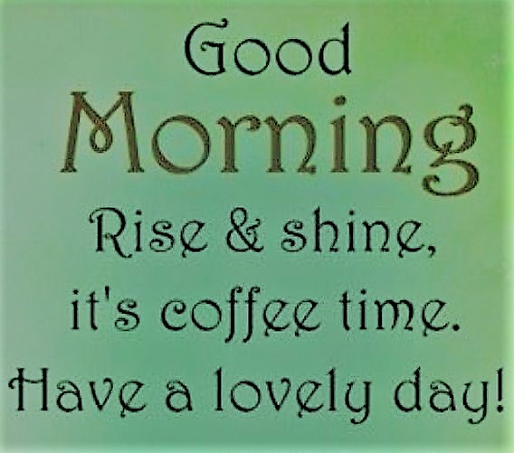 Jutta Streicher 🕊️ tweet media