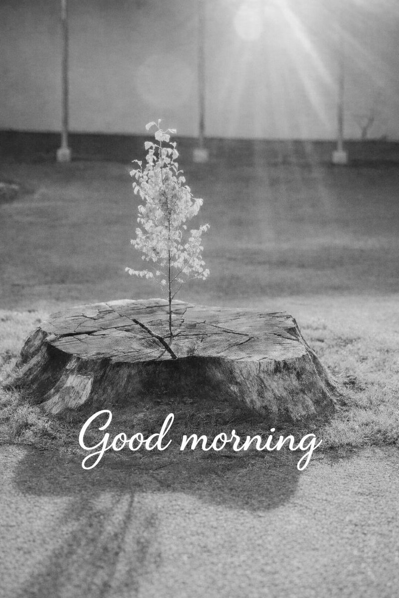 Sir ñęo tweet media