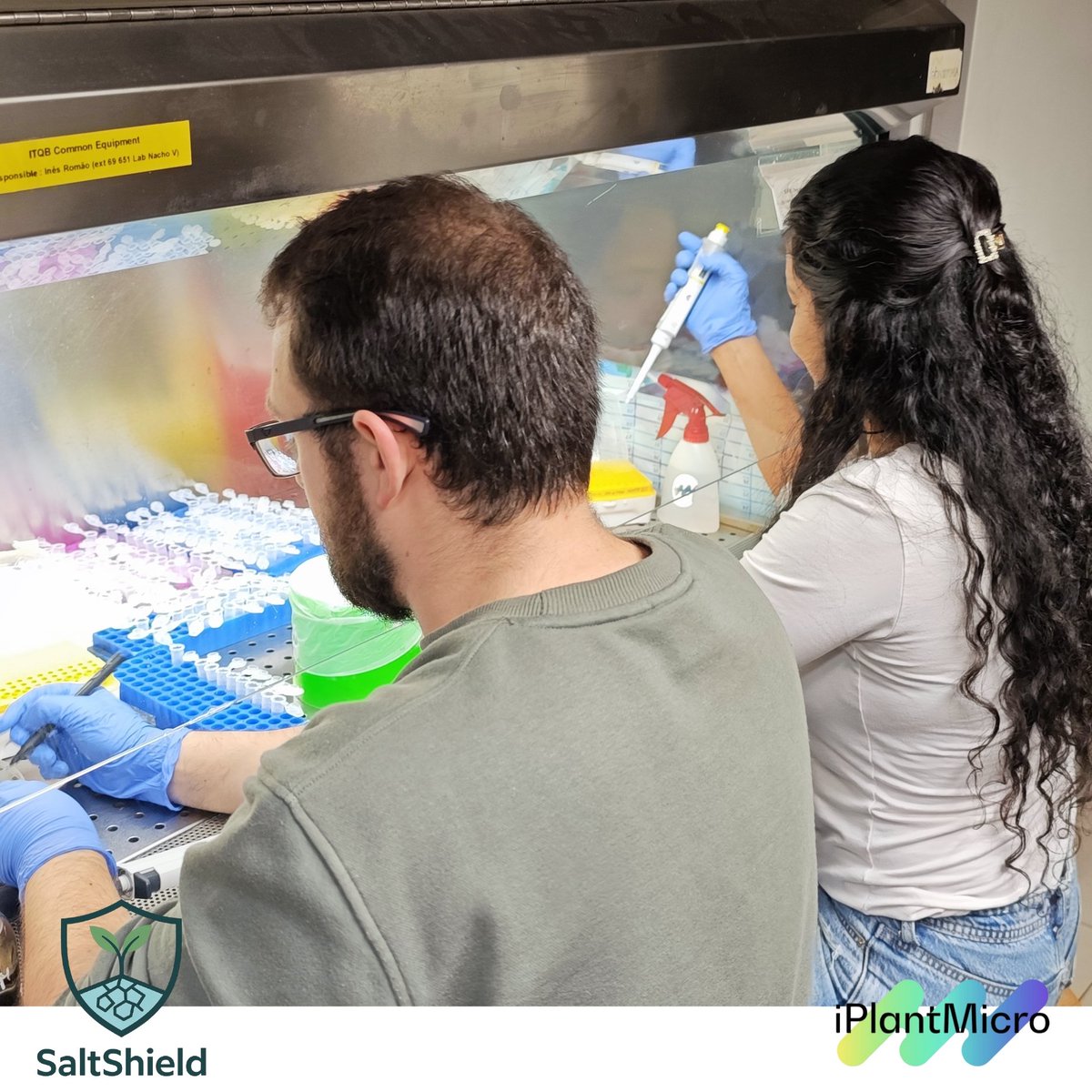 iPlantMicro Lab tweet media