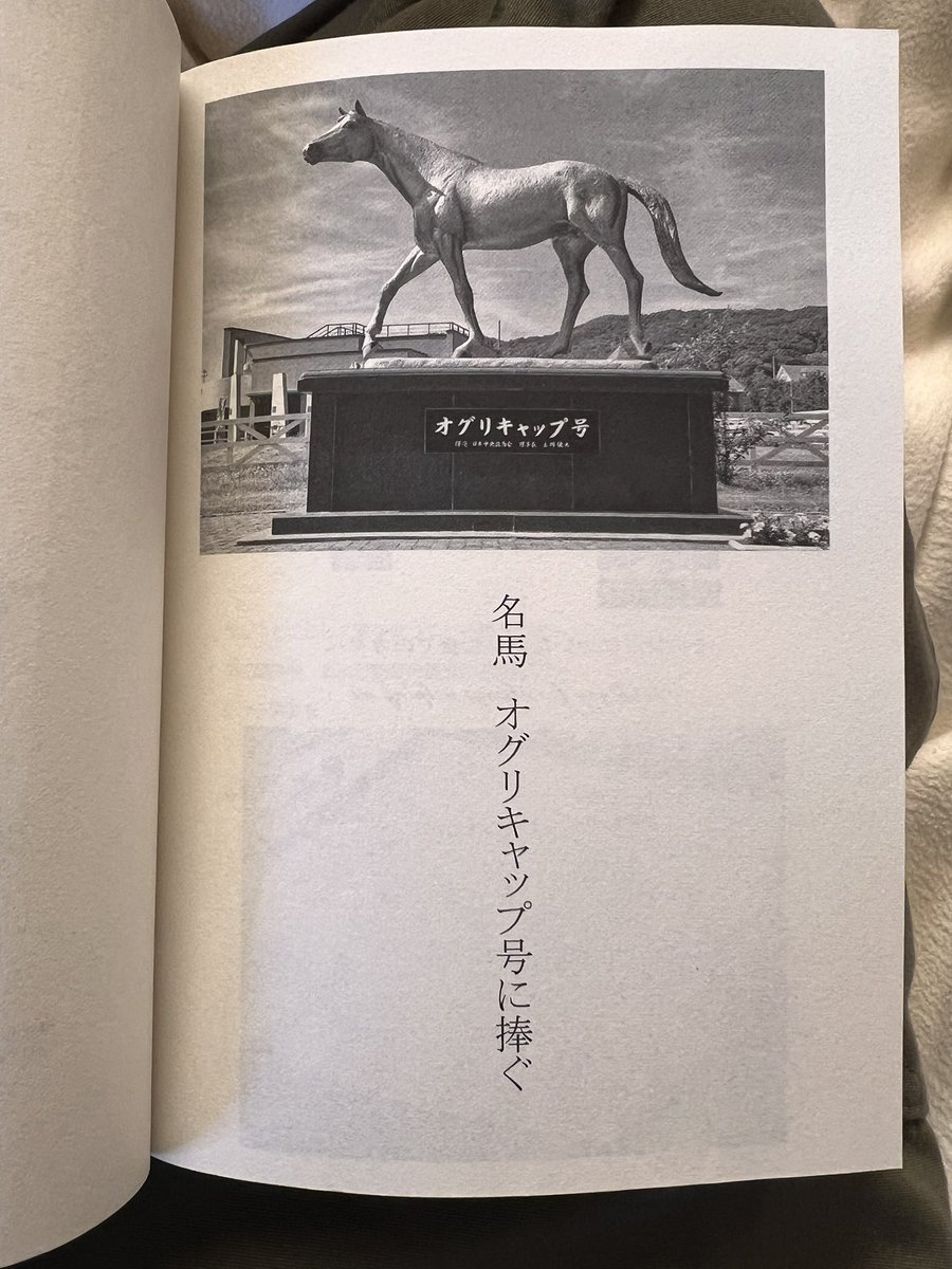 シングレ完結しちゃったな...感動をありがとう
