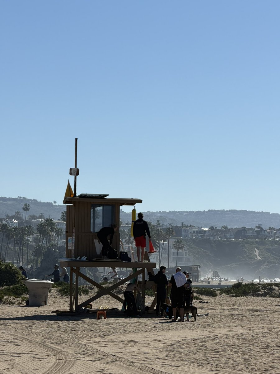 ImASurferDude tweet media