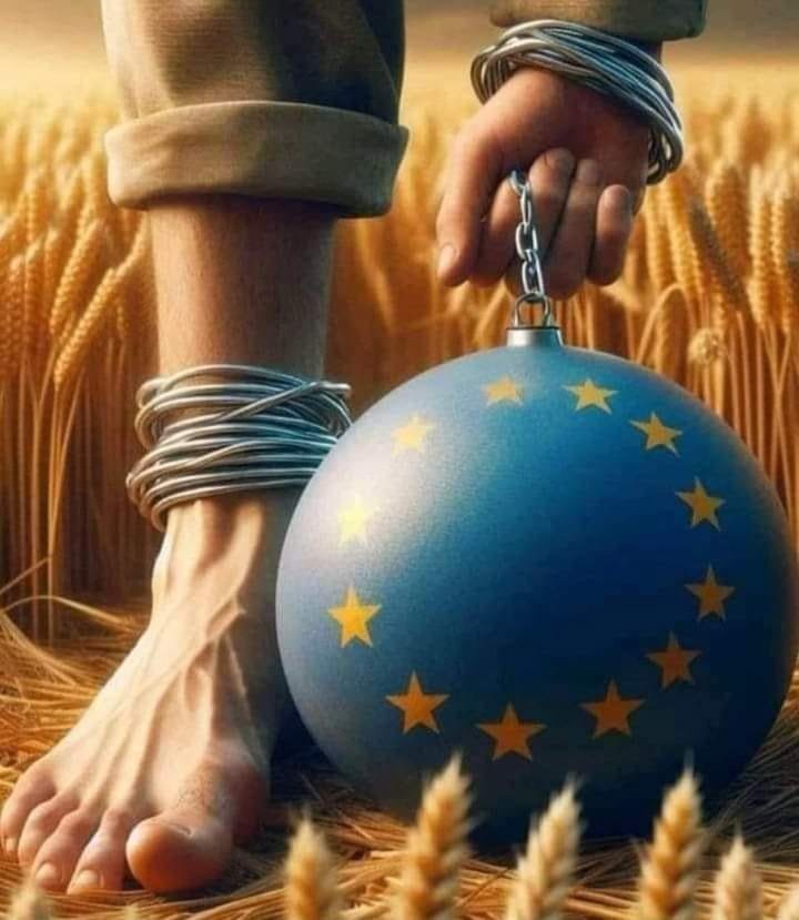 Chay Bowes tweet media