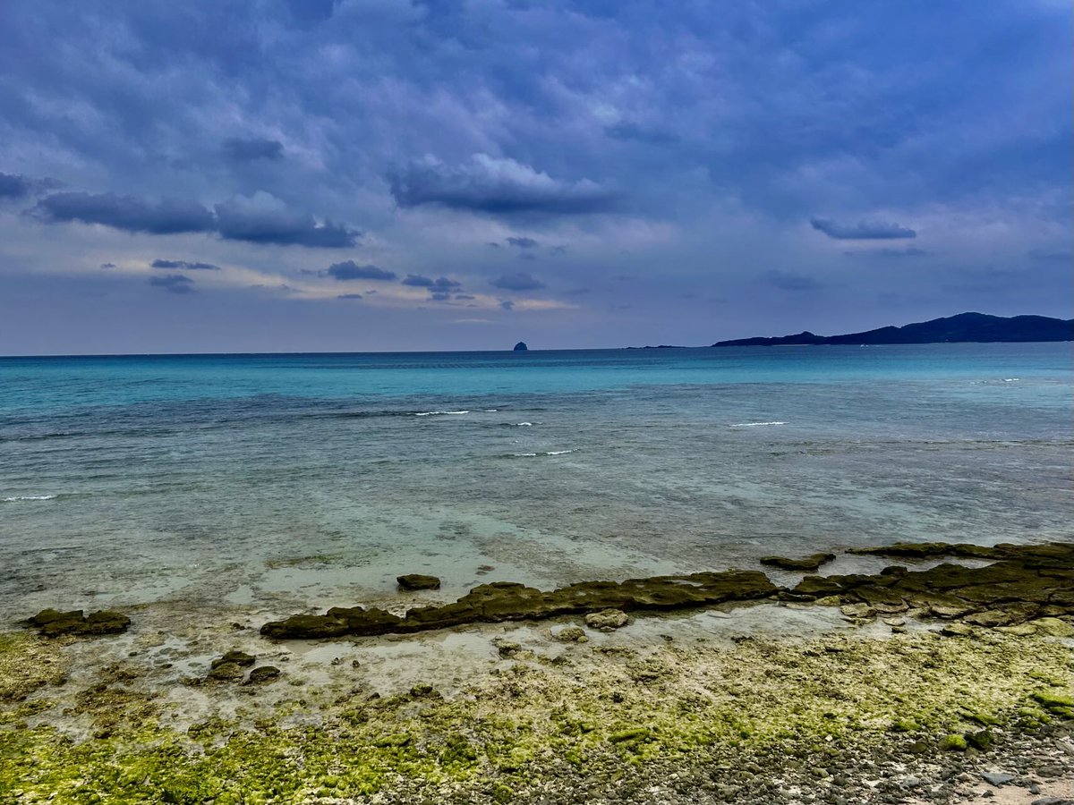 🎼Sun🫐 tweet media