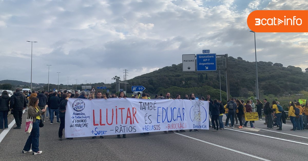 3CatInfo tweet media