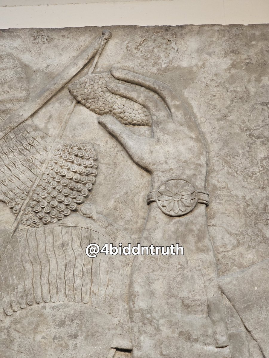 Forgotten History tweet media