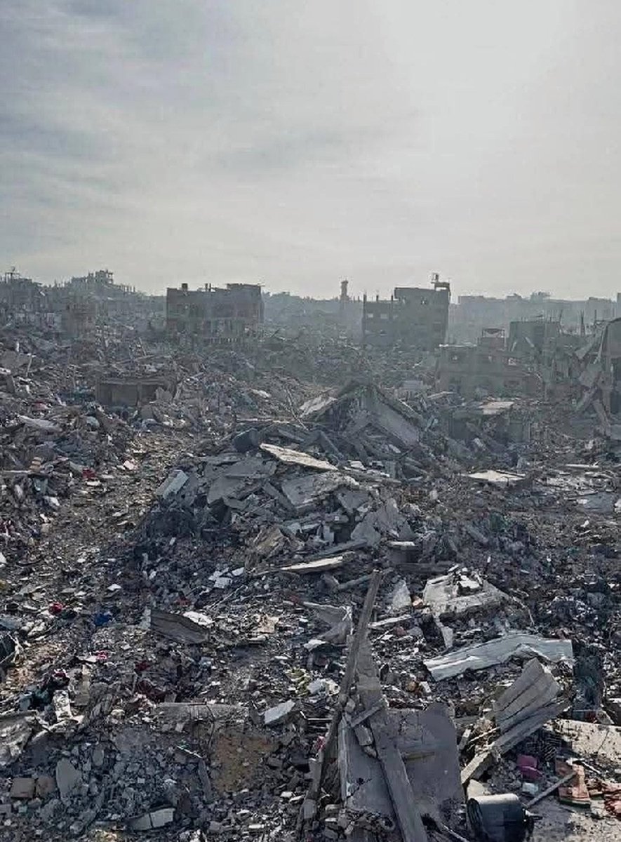 נועה מגיד | Noa magid tweet media