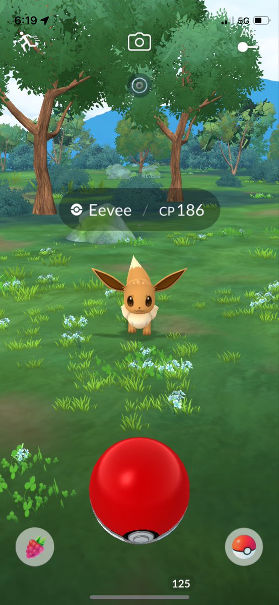 JohnPatrick_101's tweet image. #Eevee #NormalTypePokemon #PokemonGoAustralia #PokemonGo #CombatPower #EeveeCP186 #PokemonGoApp #Pokemon @PokemonGoNews #EvolutionPokemon