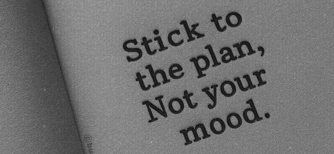 Spencer (❖,❖) tweet media