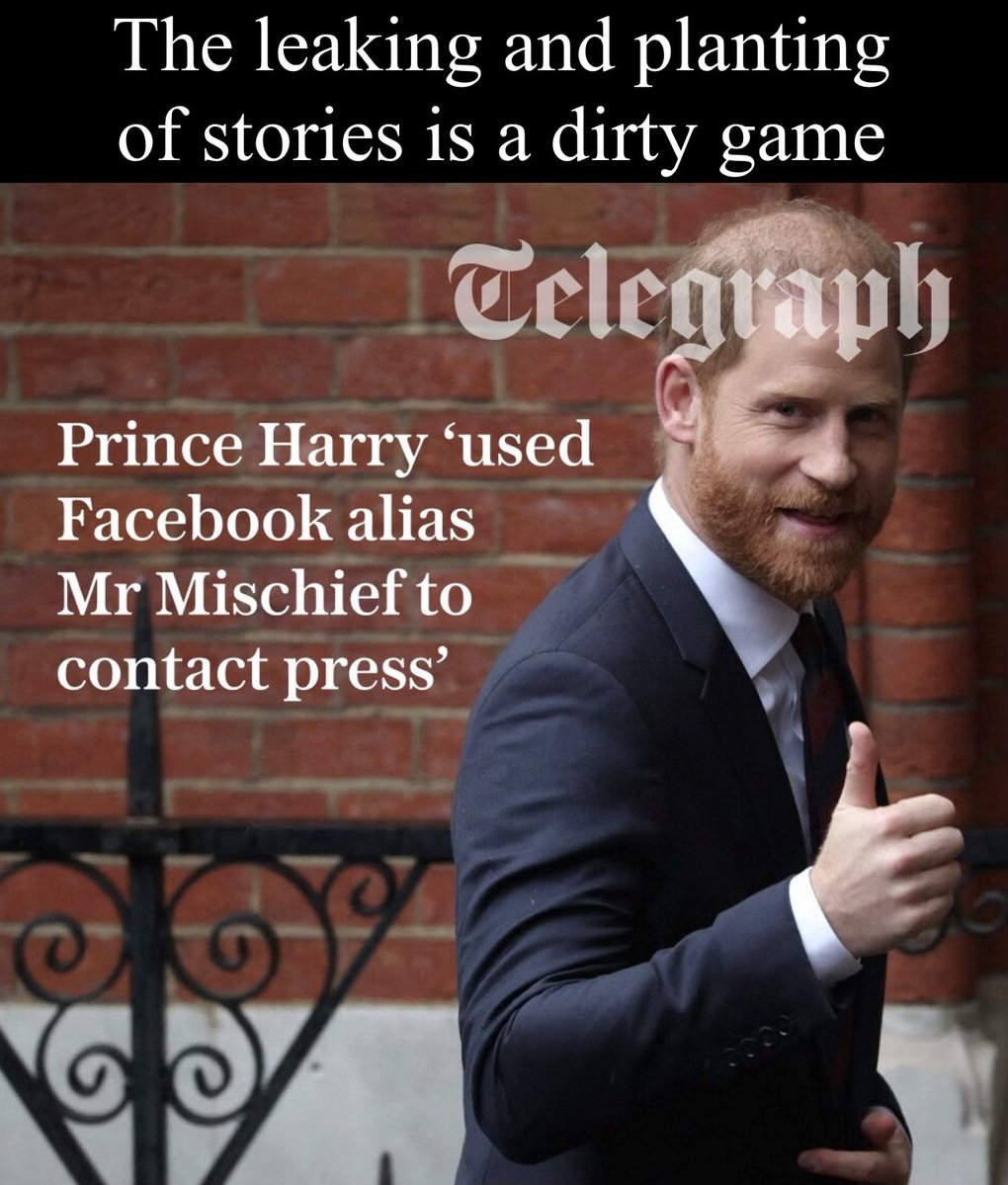 Bee Wilde tweet media