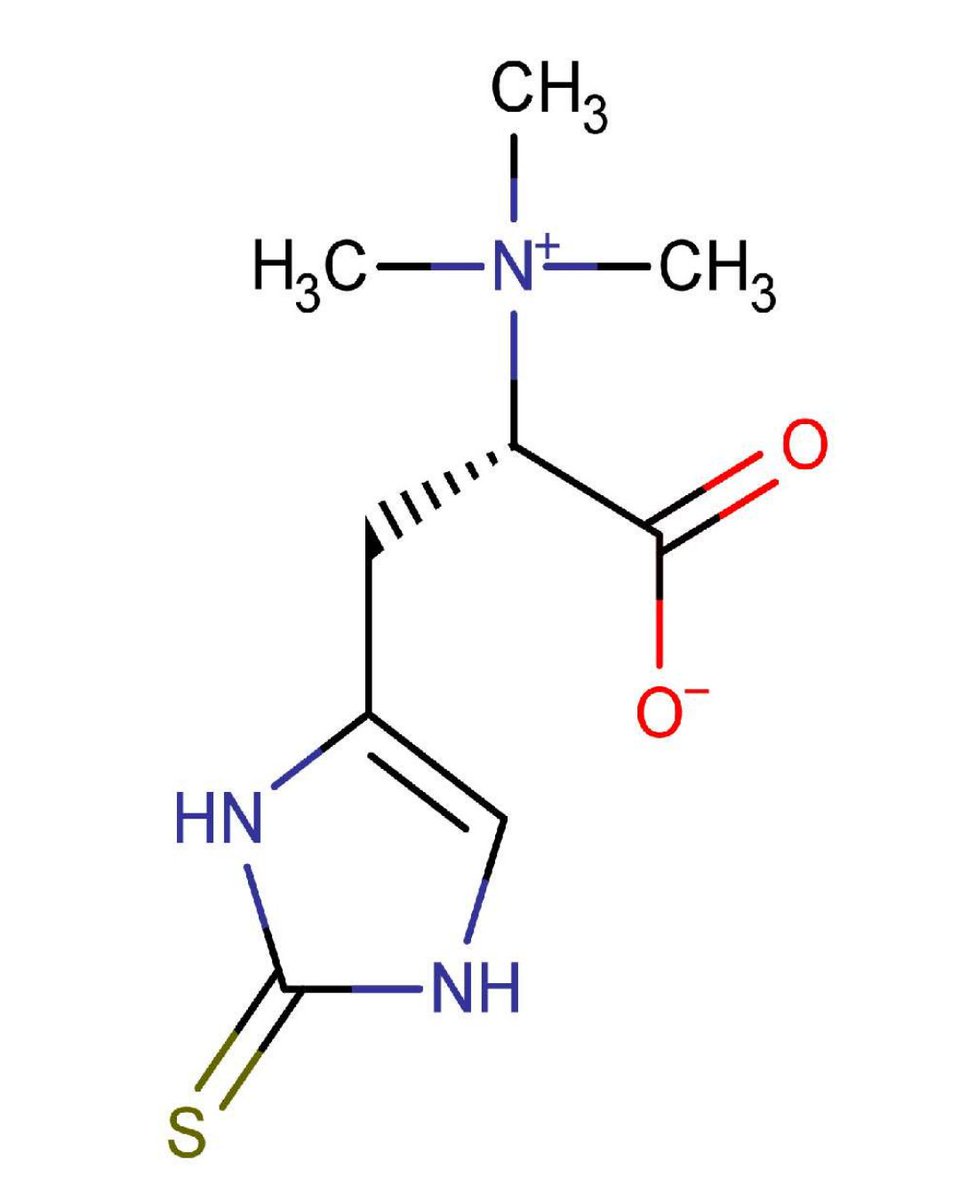 Bone & Joint Research tweet media