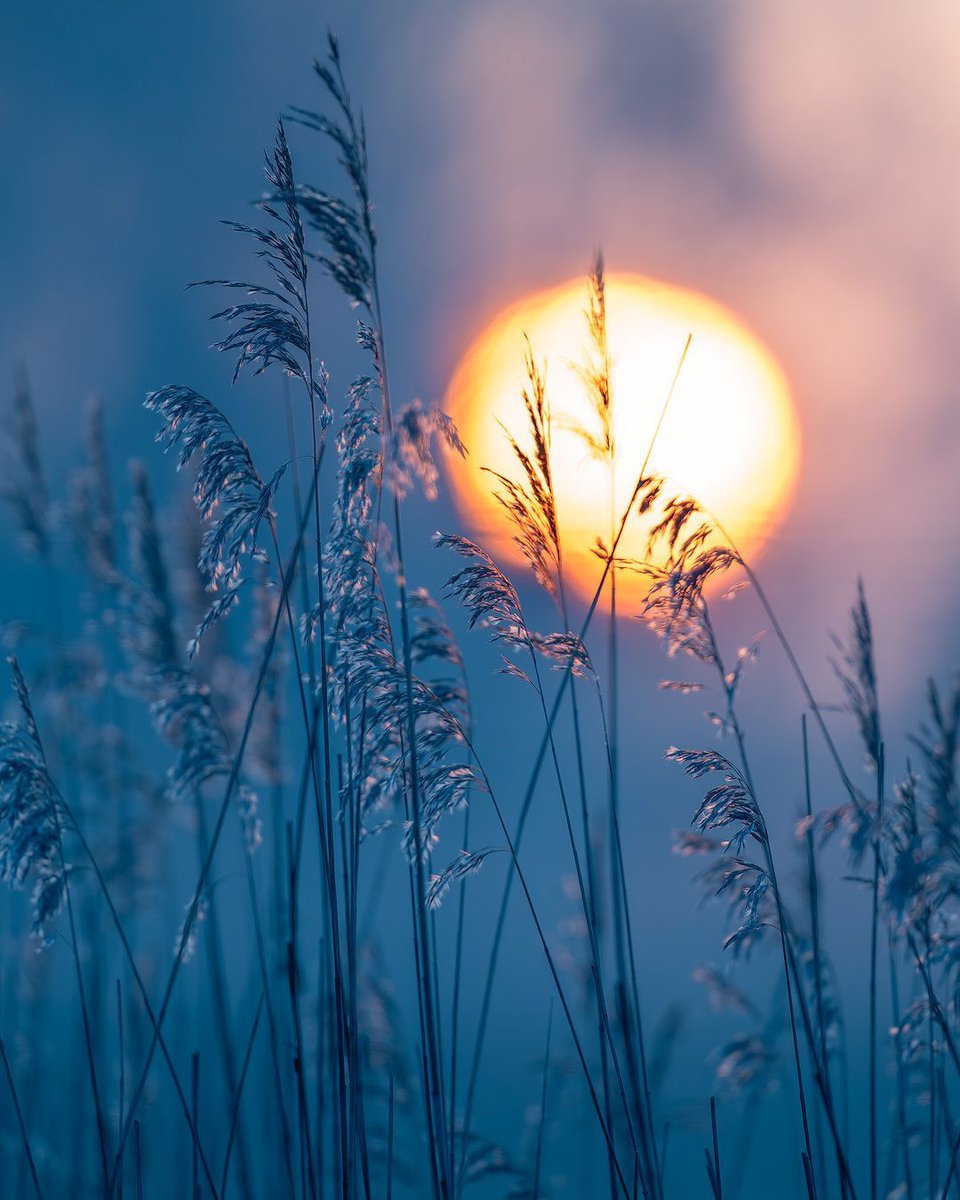 Steve Palmer tweet media