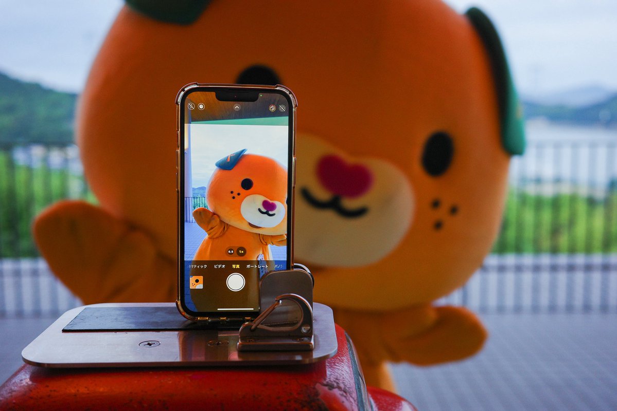 みきゃん【公式】《愛媛県イメージアップキャラクター》 tweet media