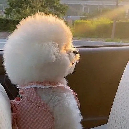 용천혈 tweet media