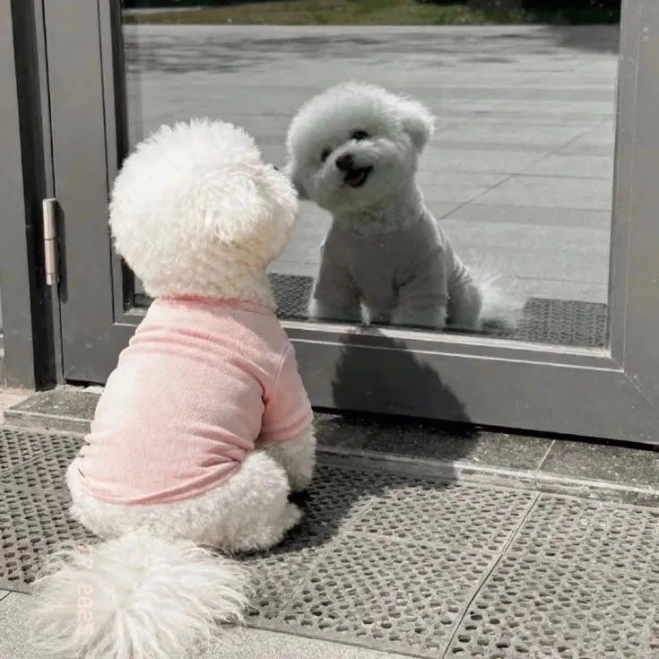 용천혈 tweet media