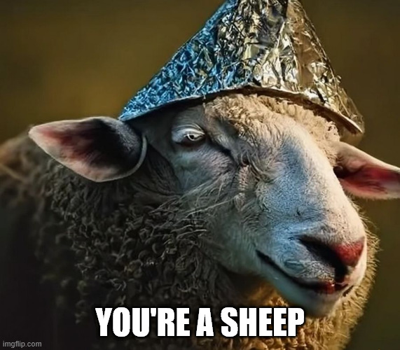 🇷🇸 🌵Nebojsa 🇺🇦 tweet media