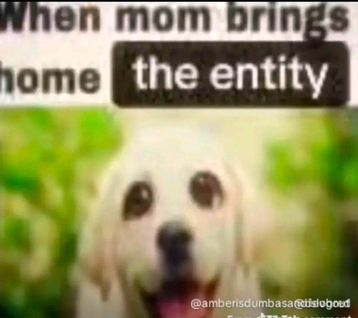 doompiIled's tweet image. Drogon rhaegal &amp;amp; viserion sidekicks we WILL be there