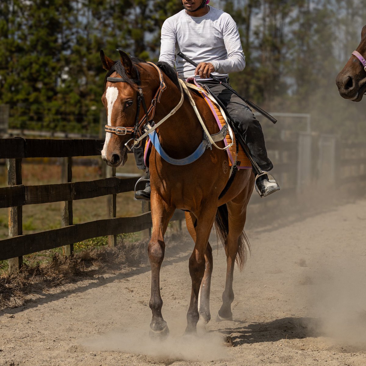 B.A.X LTD tweet media