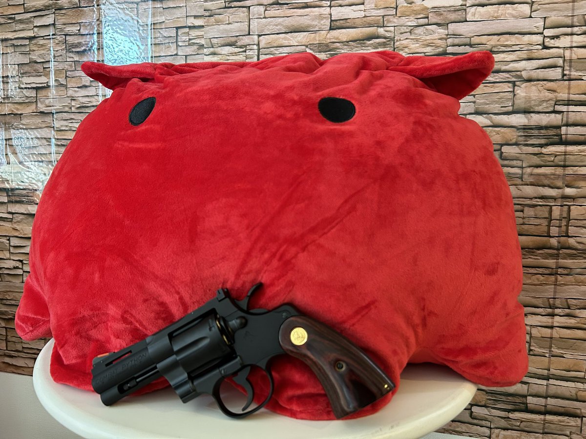 メイ姉🐥🧋 tweet media