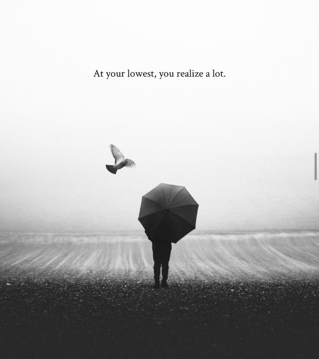 Mindful Maven tweet media