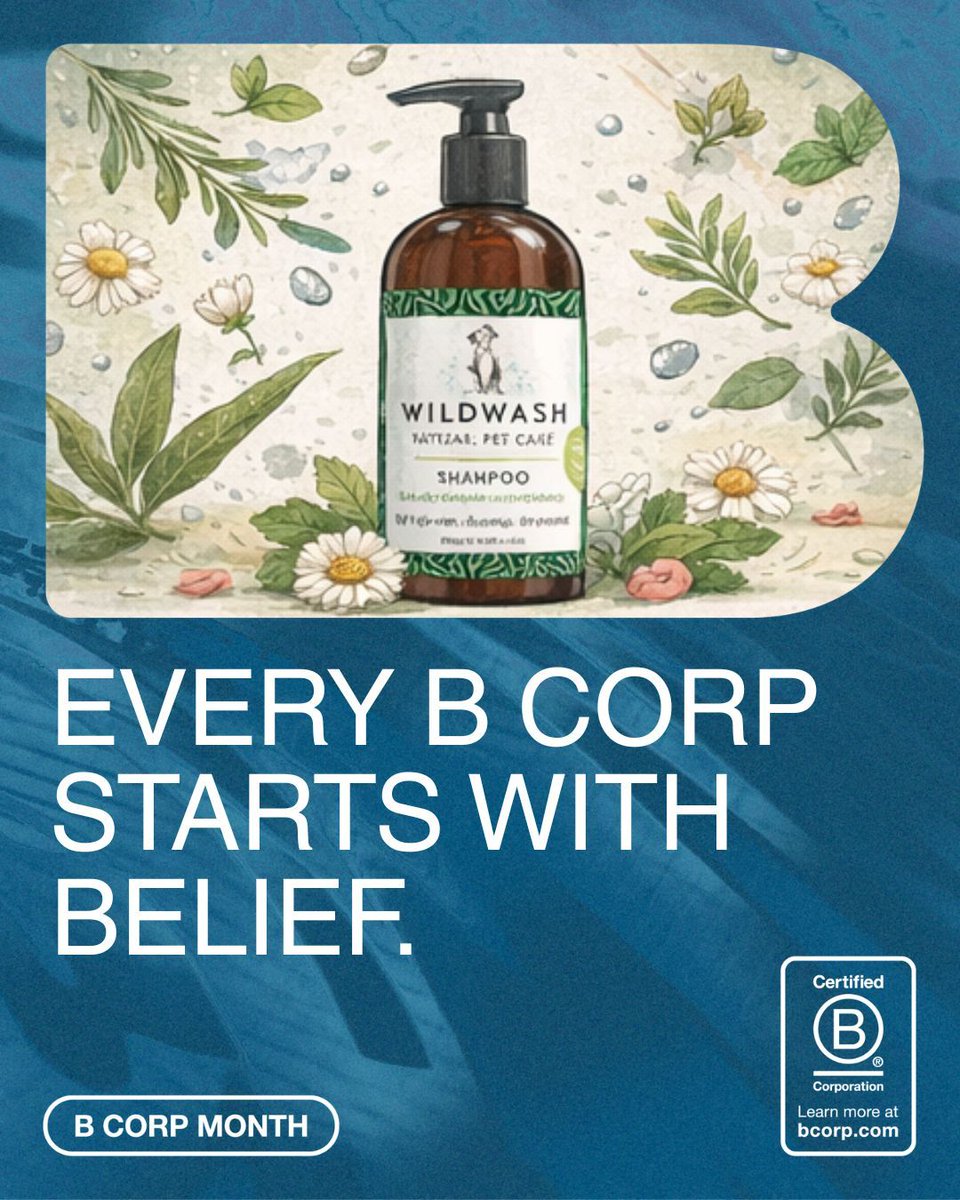 WildWash tweet media