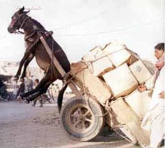 Feliz Día del Padre 🎊 😚