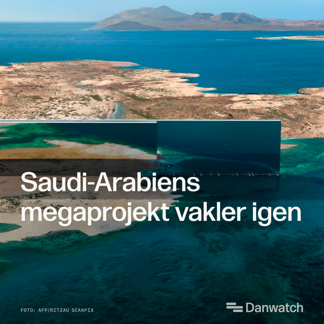 Danwatch tweet media