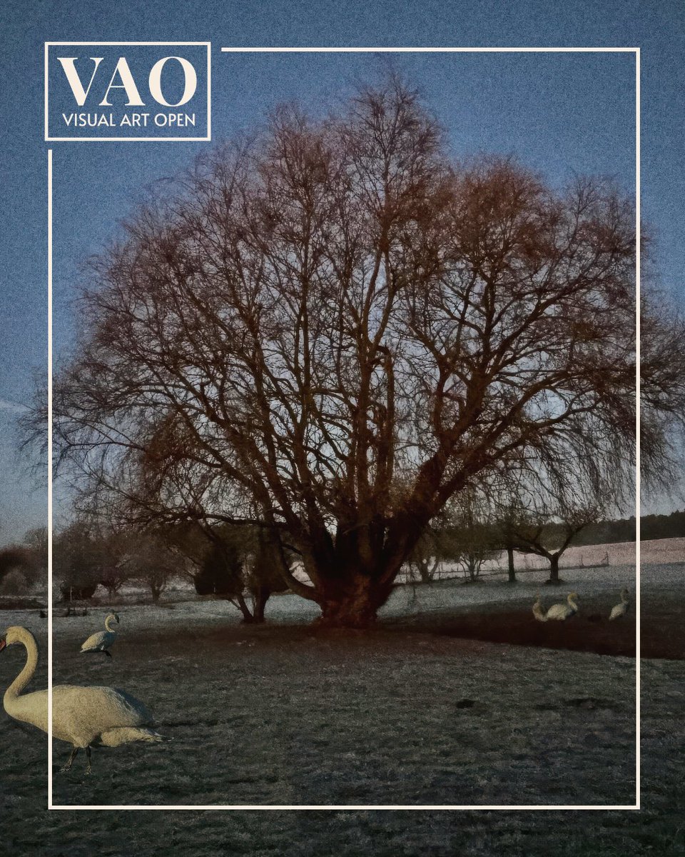 Visual Art Open tweet media