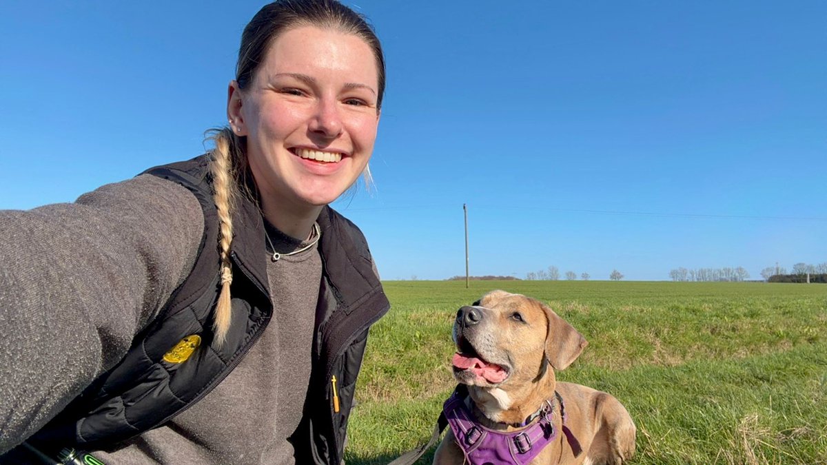 Dogs Trust Leeds tweet media