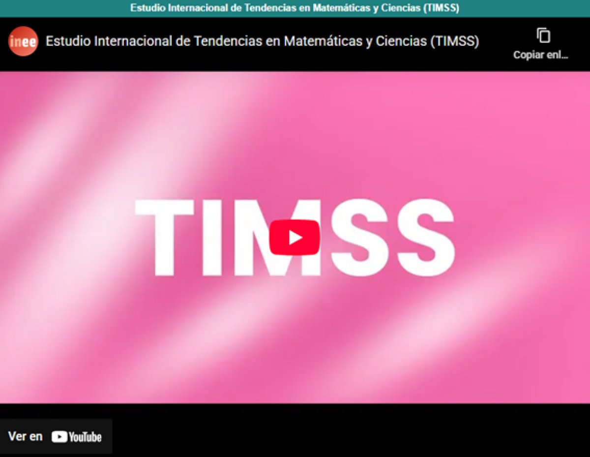 Educación INEE tweet media