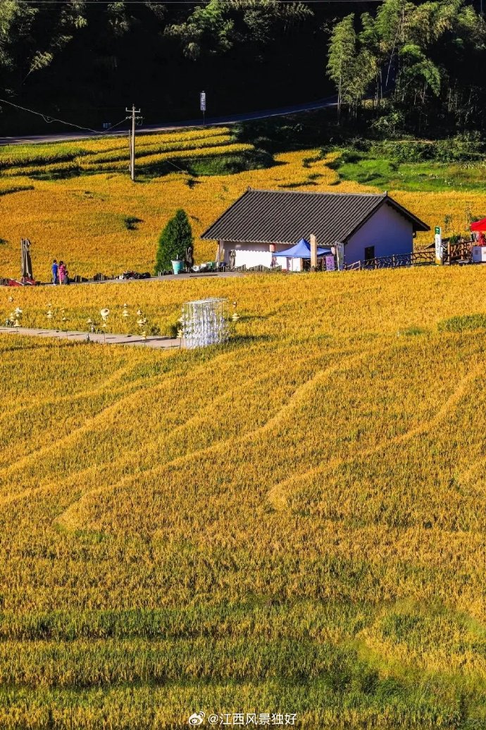 Marie Claude Denault tweet media