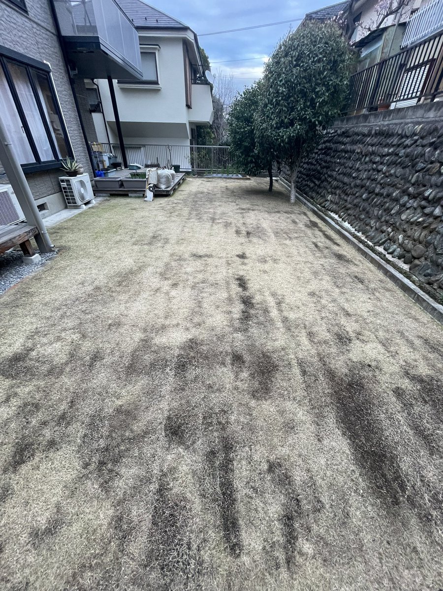 芝 JUN tweet media