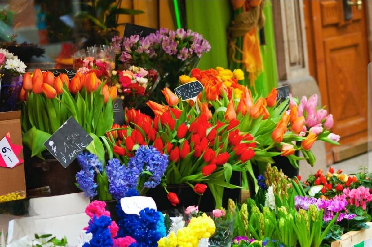 Joanna Cygne 🦢 tweet media