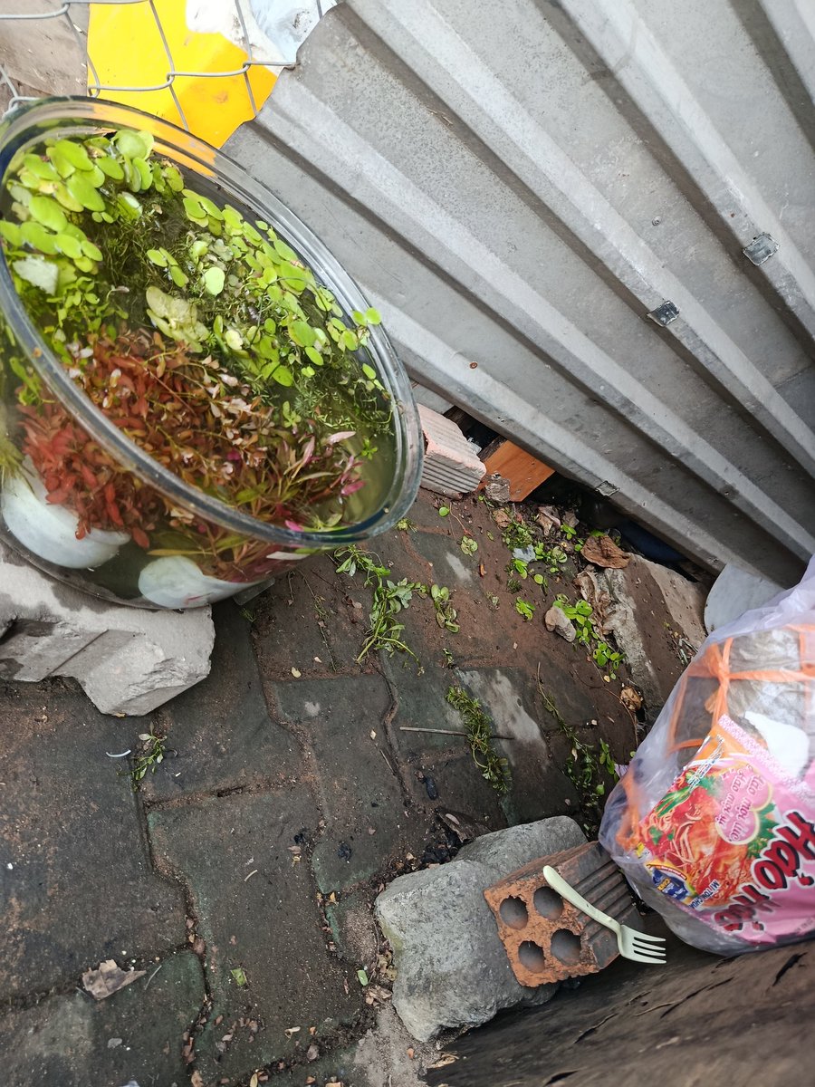 VuonggTwT 🇻🇳 tweet media