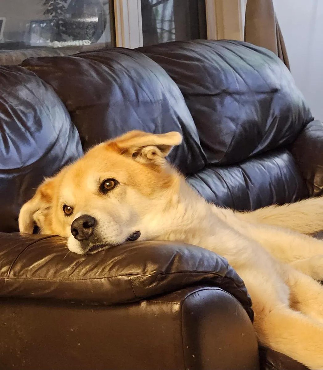 Sara Mary ⭐❤️ tweet media