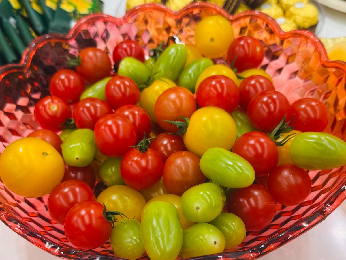 Reiaccus tweet media